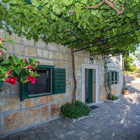Grosses In Mit Pool Holiday home Gornji Vinjani
