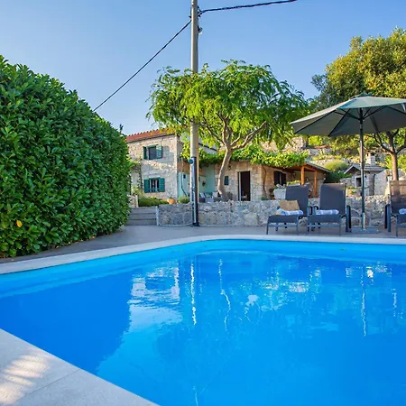Holiday home Grosses In Mit Pool Gornji Vinjani
