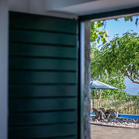 Grosses In Mit Pool Holiday home Gornji Vinjani